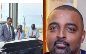 Cedric Babu Ndilima